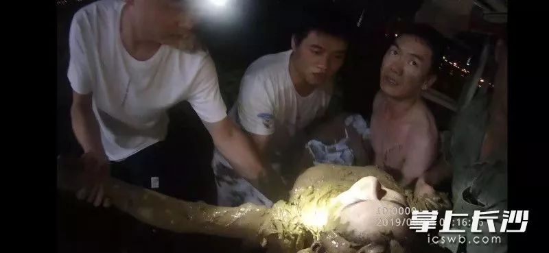 中南大學(xué)湘雅三醫(yī)院急救中心醫(yī)護(hù)人員從淤泥中解救并搬運(yùn)輕生女子上岸治療圖片由醫(yī)院提供
